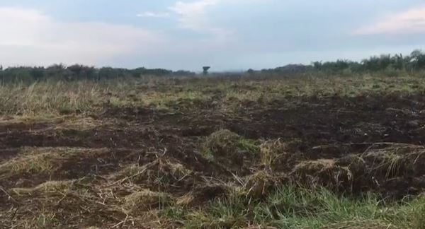 ขายที่ดินเปล่า 23-0-11 ไร่ จังหวัดนครศรีธรรมราช อำเภอร่อนพิบูลย์ เหมาะสำหรับทำการเกษตร